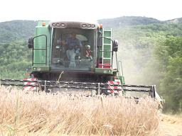 travaux agricoles huc ludovic aveyron